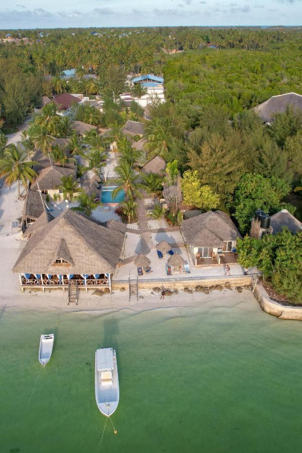 Horizon Of Michamvi Beach Zanzibar Exterior photo